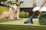 HOOVER Aspirador con bolsa - HOOVER TXL80PET 011, 700 W, Depósito 3,5 l, Negro - Imagen 3